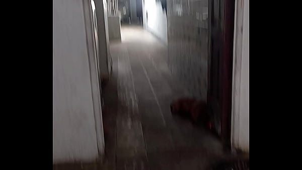 Casero, video de pareja amateur real